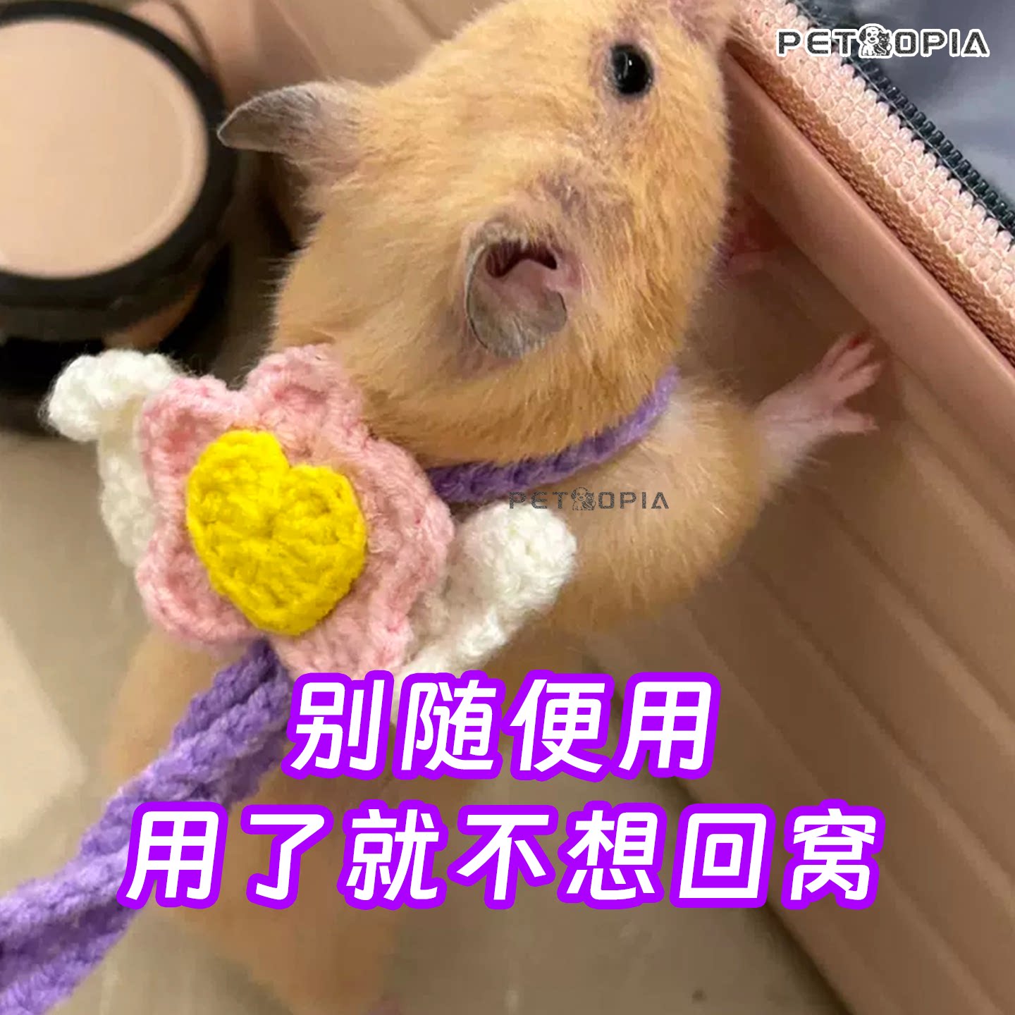 仓鼠蜜袋鼯龙猫小宠外出牵引绳