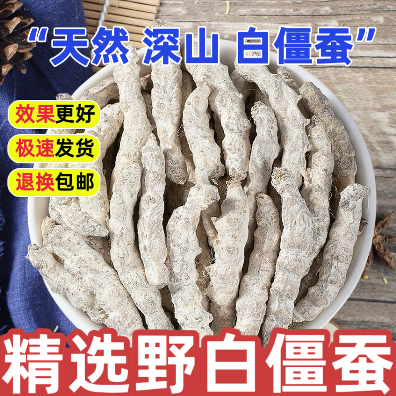 野生僵蚕中药材正品500g特级深山白僵蚕干姜蚕姜虫干白僵虫干泡茶