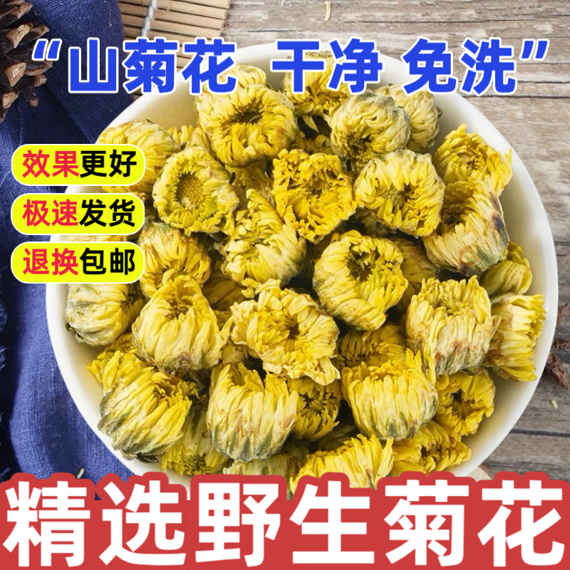 野生菊花正品500g特级深山精选新货胎菊茶泡水免洗泡茶喝菊花泡水