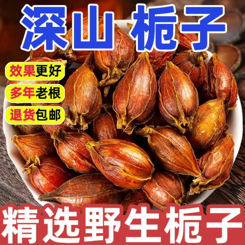 野生栀子中药材正品特级500g红小栀子山栀子泡茶黄栀干栀子干姜汤