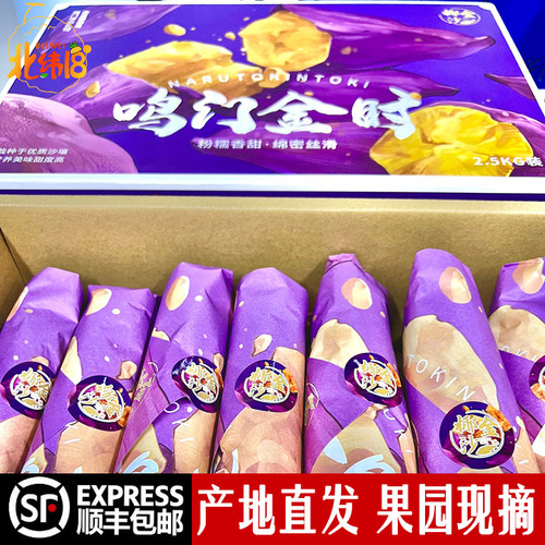 正宗鸣门金时番薯9斤礼盒板栗地瓜粉糯香新鲜红薯海南日系甜顺丰