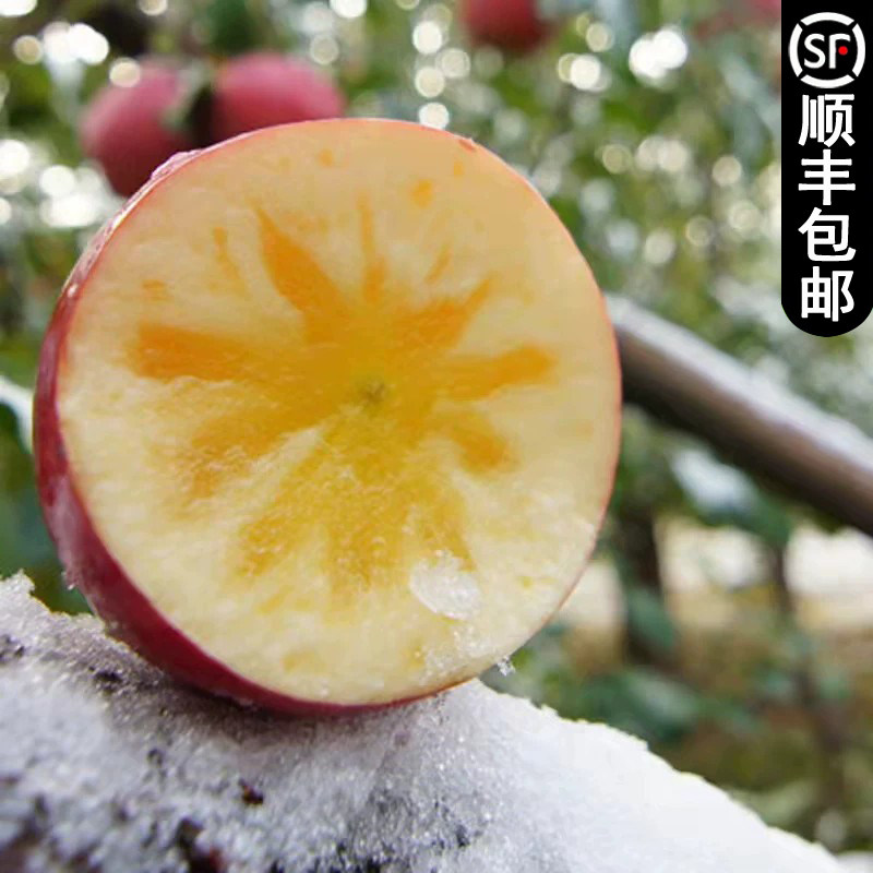 2026年阿克苏冰糖心苹果新果直发