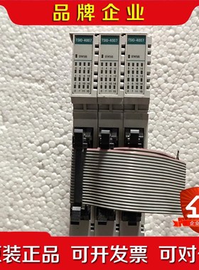 丹纳赫TSIO-4007 IO模块. 议价