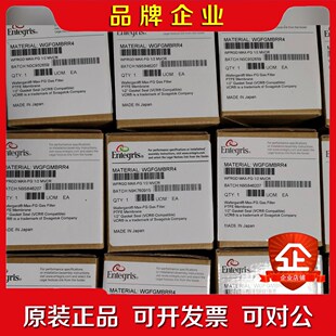 ENTEGRIS应特格过滤器 14MVCR过滤器 WGFG 议价
