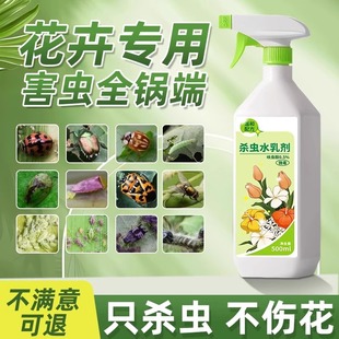 月季花病虫害常用药杀虫药花卉植物室内杀虫剂灭蚜虫通用除虫药剂
