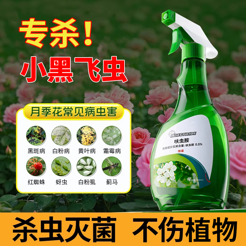【不伤植物】专杀小黑飞杀虫剂
