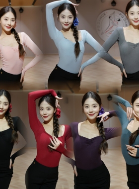 Loyal拉丁舞服桃心领长袖上衣黑灰蓝紫红粉色艺考教育教课成人女