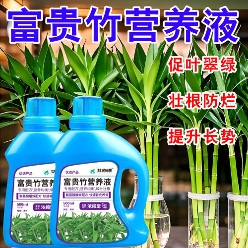 富贵竹水培水培植物专用营养液肥