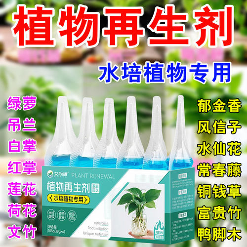 水培营养液植物再生剂富贵竹绿萝