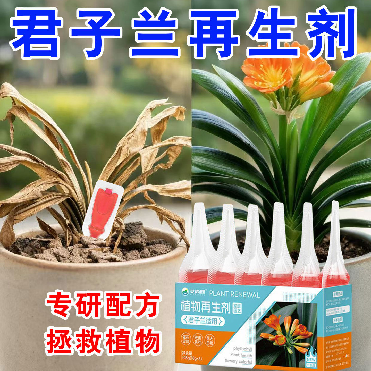 君子兰专用植物再生营养液花肥
