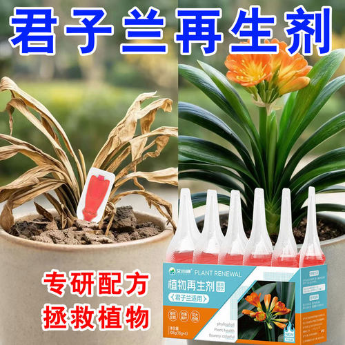 君子兰专用植物再生营养液花肥