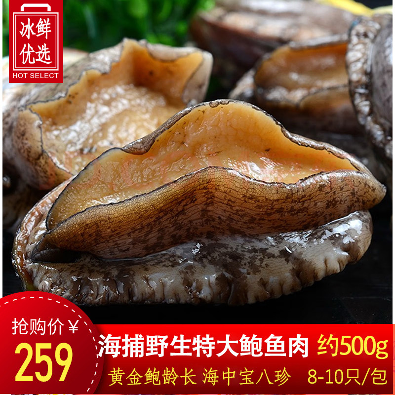 【500g特大装】鲍鱼鲜活海鲜去壳去内脏纯鲍鱼肉小鲍鱼捞汁饭滋补