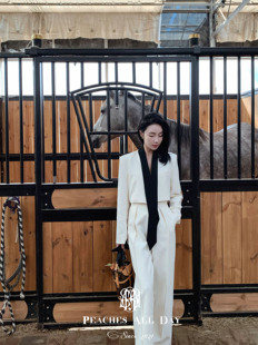 ALL 两件套装 DAY女ALPHA哲学 直筒裤 通勤气质拼色短西装 PEACHES