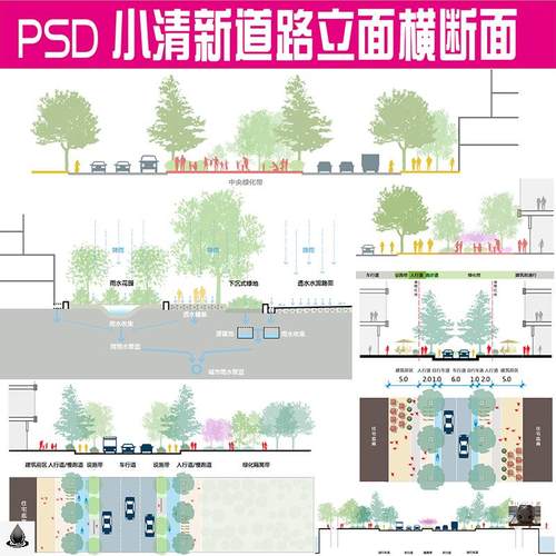 小清新PS立剖面图道路街道横断面PSD竞赛风植物素材海绵城市