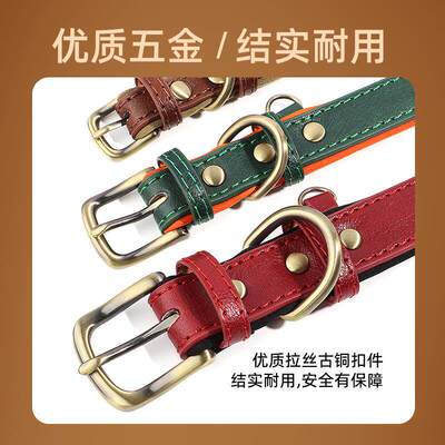 狗狗刻字项圈中大型犬柯