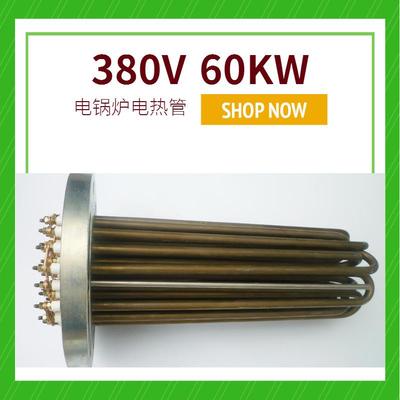 厂家供应380V60KW电锅炉用电热管锅炉水箱电热管非标可定制