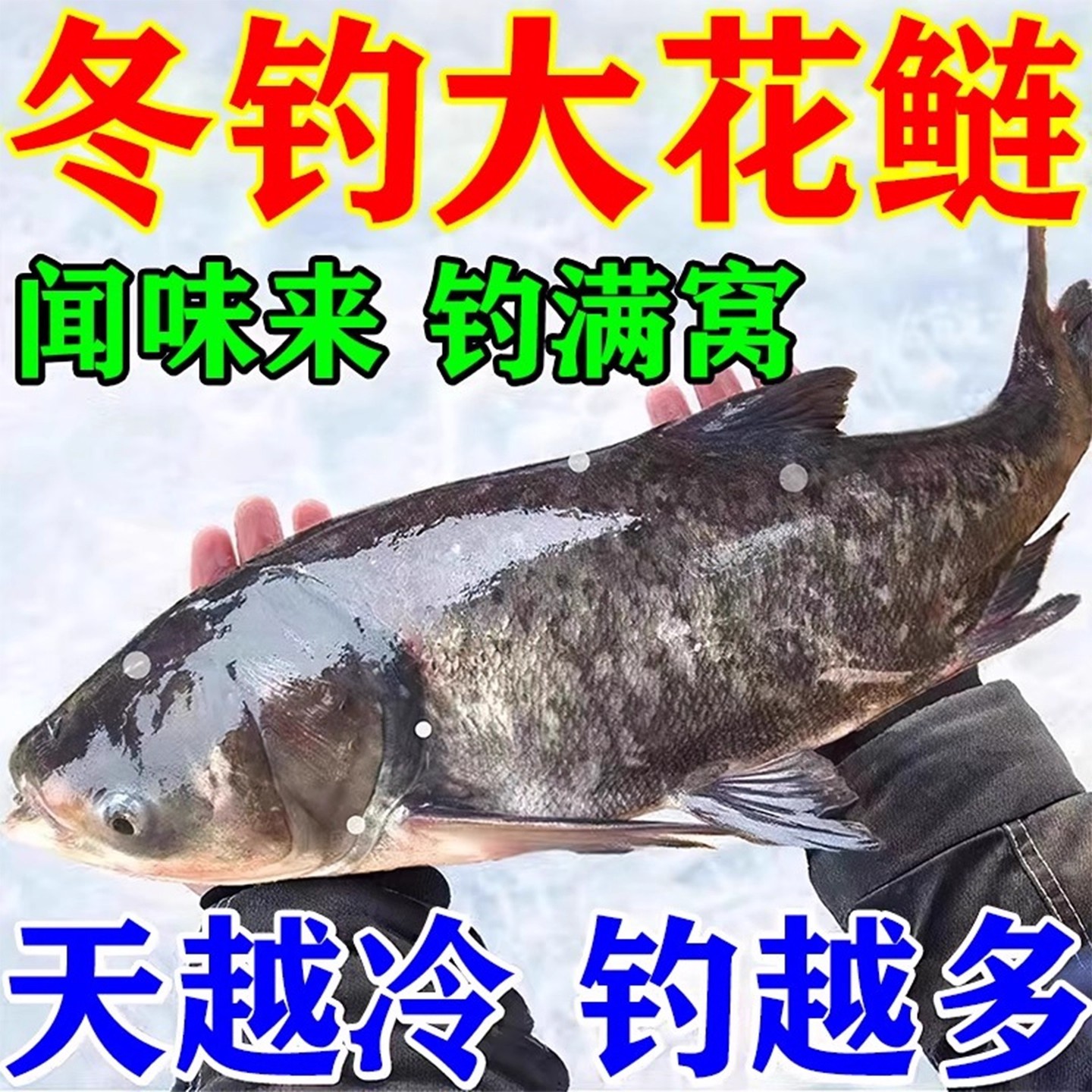 浮钓鲢鳙专用饵料诱鱼饵开口剂