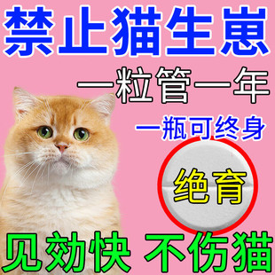 猫咪绝育药母猫专用宠物猫终身绝育抑制发情期叫春嚎叫躁动禁情片