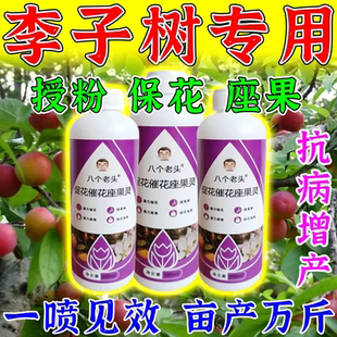 李子保花保果药专用肥料果树防落裂果增甜膨大素剂授粉坐果精神器