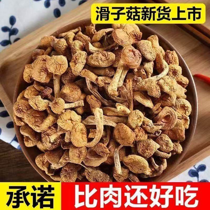 新货东北特产滑子菇滑子蘑干货滑菇小黄蘑500g小鸡炖蘑菇批发250g