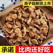 新货东北特产滑子菇滑子蘑干货滑菇小黄蘑500g小鸡炖蘑菇批发250g