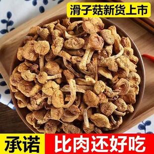 新货东北特产滑子菇滑子蘑干货滑菇小黄蘑500g小鸡炖蘑菇批发250g