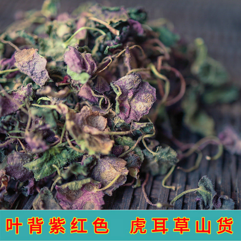 虎耳草中药材干货新鲜虎耳草中药材高山纯野生药用自然晒干止痒