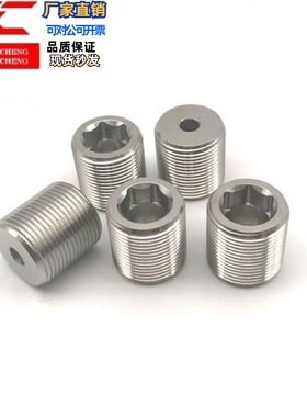 LVWM/LVFWM12/16/20/24/30-10/15/20/25/30/35/40镍调整螺栓PAF02