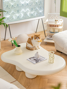 云朵茶几简约轻奢北欧设计师侘寂风网红奶油风民宿客厅异形矮桌子