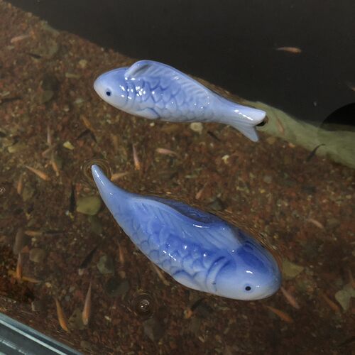 可以漂浮在水面上的瓷小鱼水族鱼缸养鱼伴侣80年代外销库存老瓷器