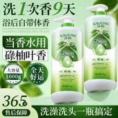 转运招财柚子叶沐浴露保湿 清爽控油洗发水碌柚叶