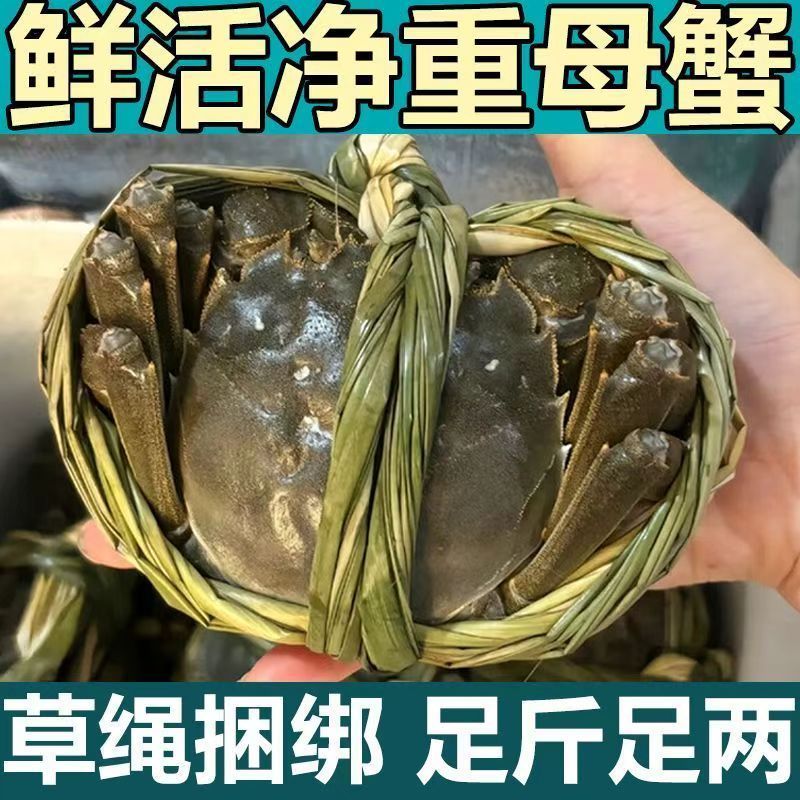 鲜活大闸蟹公母大螃蟹海鲜毛蟹8-10只含绳礼盒装