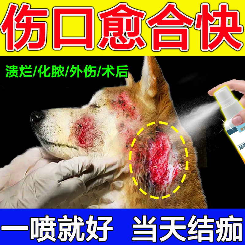 狗狗伤口愈合药去腐生肌宠物猫咪化脓溃烂消炎包扎防感染外伤药膏 宠物/宠物食品及用品 皮肤喷剂 原图主图