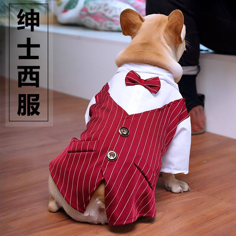 宠物狗狗西装春夏薄款西服衬衫结婚礼服法斗柯基猫咪泰迪比熊衣服