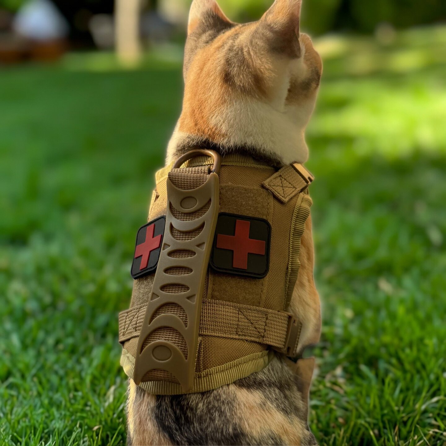 猫咪牵引绳胸背带战术马甲衣服