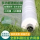农用白地膜育苗保温保湿 塑料透明膜耐用加厚超韧性耐撕拉种菜花生
