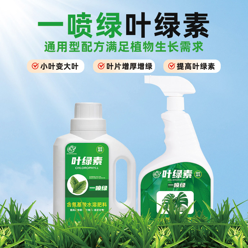 观叶植物免稀释营养液蔬菜花卉黄叶片一喷变绿促生长叶绿素叶面肥