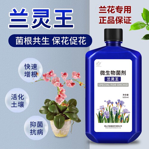 花奈儿园艺营养液兰灵王兰花用