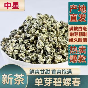 2025新茶单芽碧螺春云南绿茶茶叶浓香耐泡型散装茶250g500g1000g