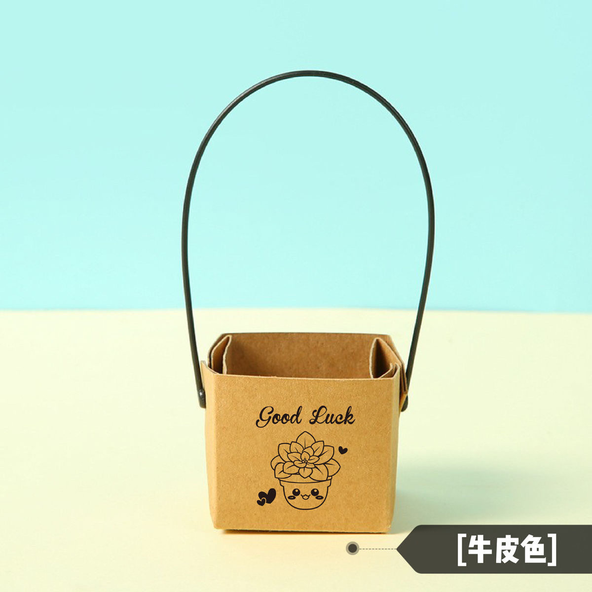 教师节多肉盆栽手提盒花盒牛皮纸盒开窗手提袋正方形鲜花手拎袋子