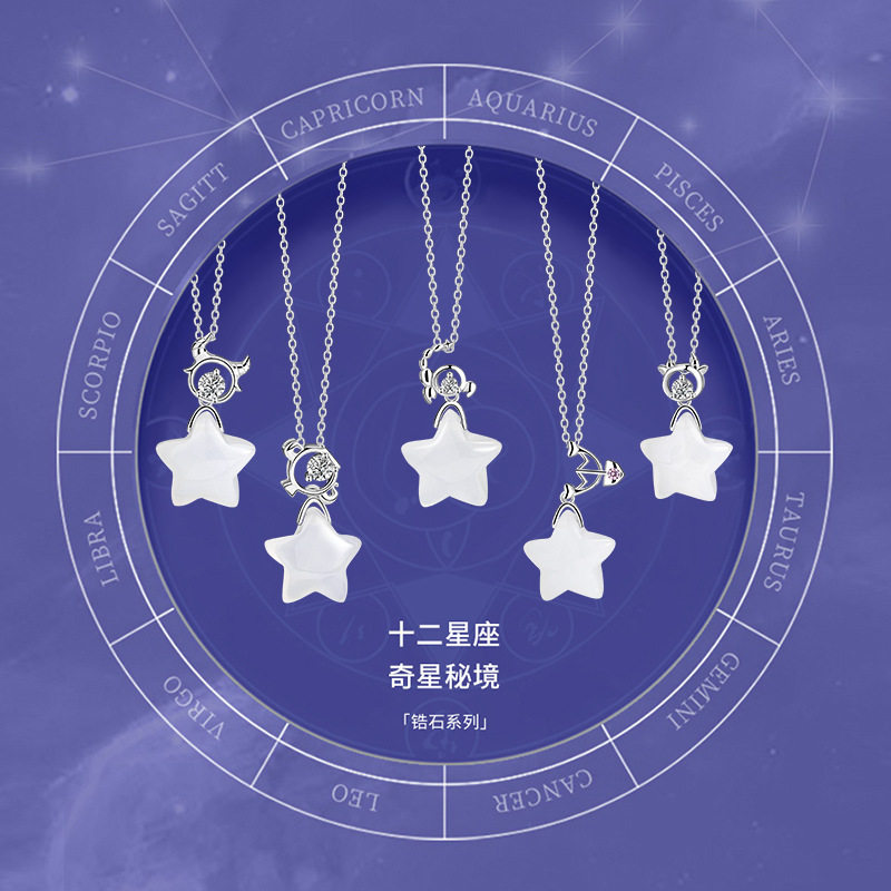 十二星座纯银925项链女小众设计
