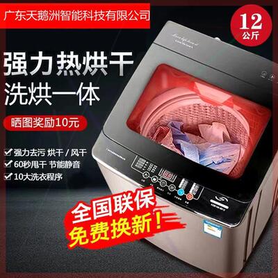 小型天鹅洲全自动洗衣机大容量5.5/10/12KG家用迷你波轮热烘甩干