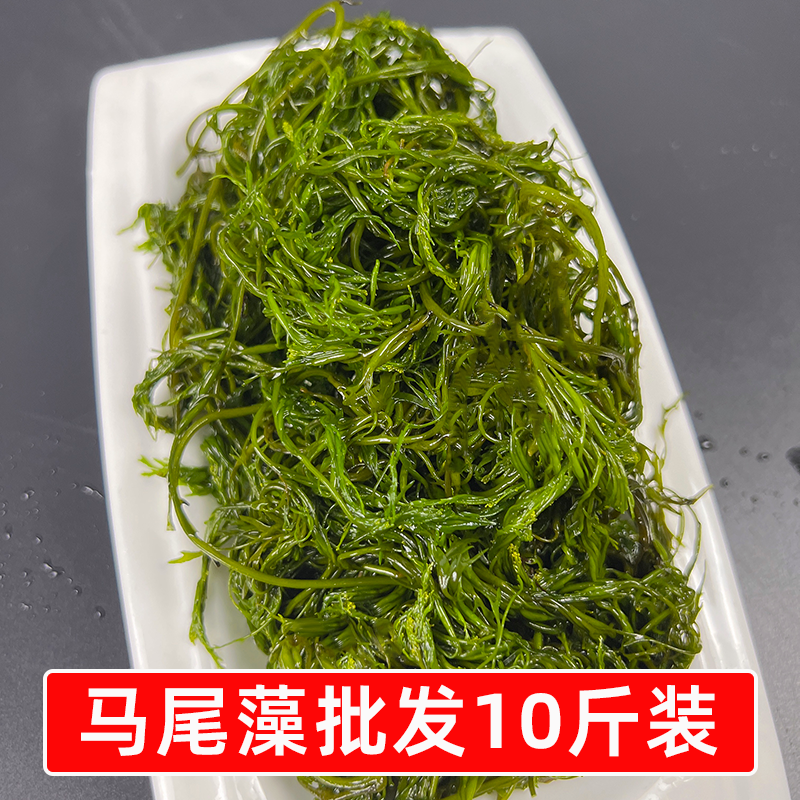 四川发货 鞭炮笋商用盐渍海藻10斤马尾藻长寿菜火锅餐饮凉拌食材