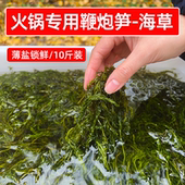 火锅专用鞭炮笋盐渍马尾藻10斤整箱海藻长寿菜嫩海草餐饮商用食材