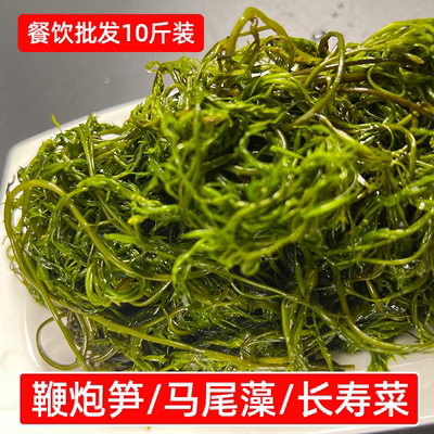 源头工厂鞭炮笋10斤盐渍马尾藻长寿菜火锅专用海草麻辣烫商用食材