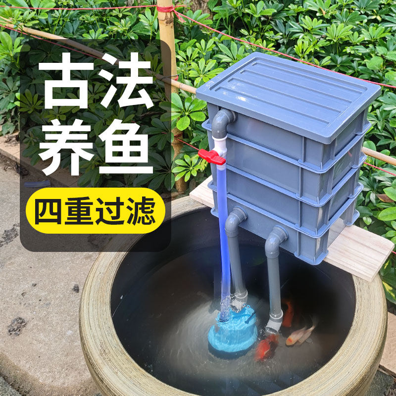 大头鱼宠物物理过滤生化净水图片