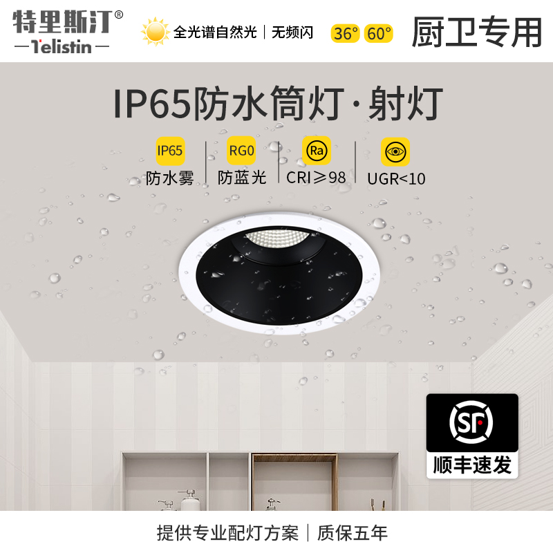 特里斯汀卫生间浴室IP65防水射灯