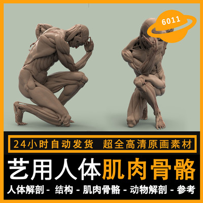 zbrush人体3d结构肌肉骨骼设计参考人角色图片素材CG原画美术图集