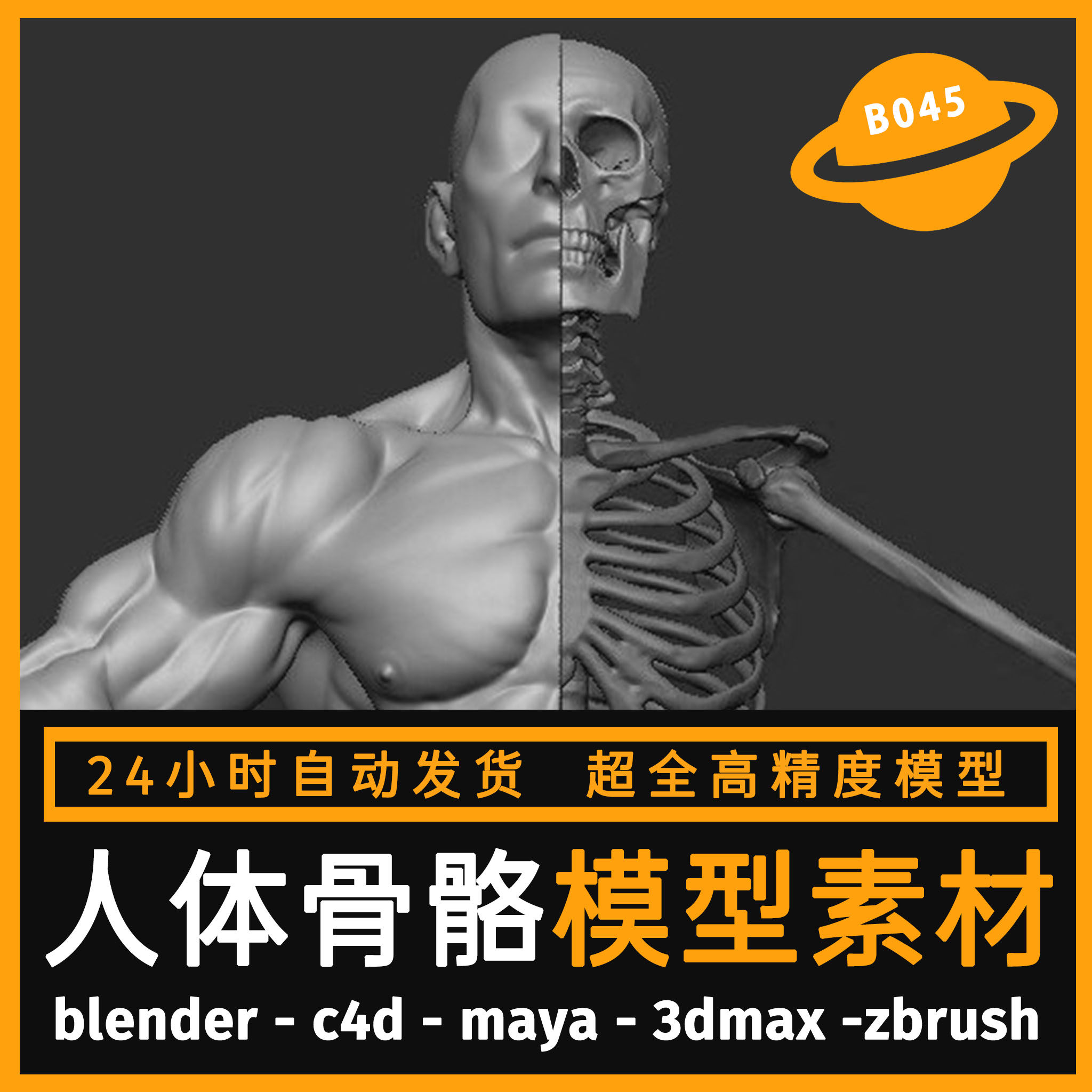 人体骨骼3d模型c4d max maya blender fbx人物身体骨架骨头素材
