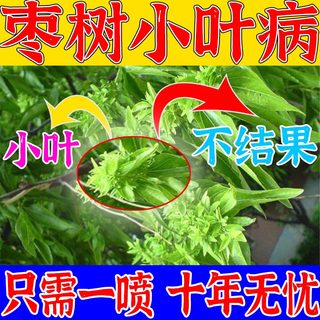 枣树小叶病专用药农药专用肥料枣疯病保花保果药防落果缩果病全冶